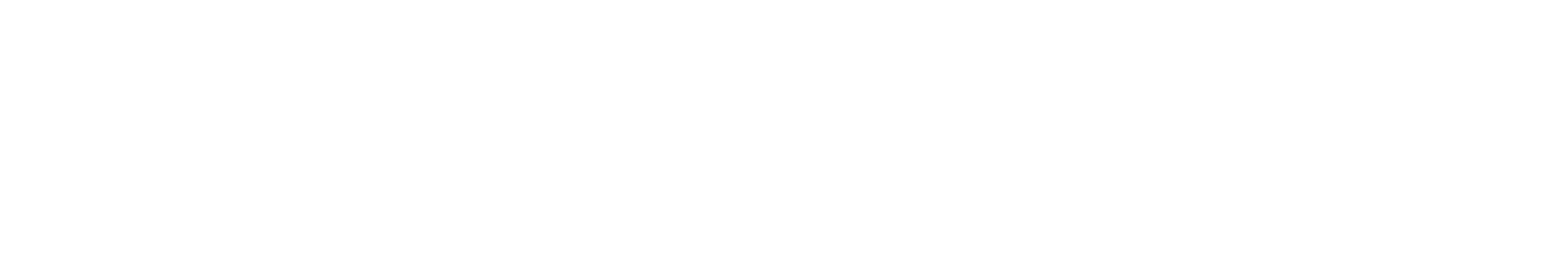 GE Es Logo_White